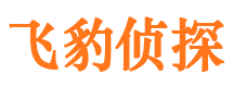 安塞市侦探公司